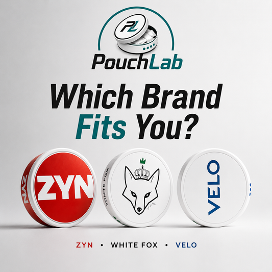 Which Nicotine Pouch Brand Is Right for You?